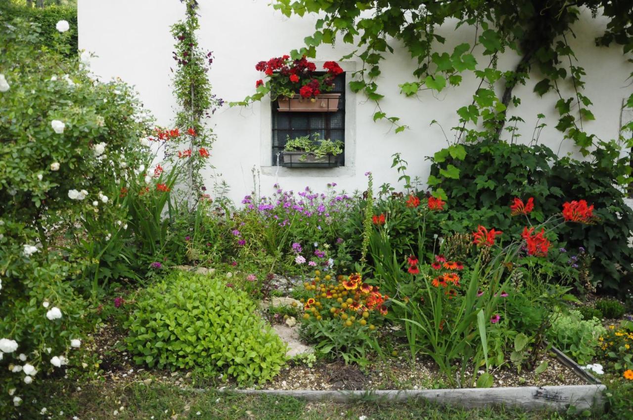 Il Sanco Bed and Breakfast Selva di Progno Buitenkant foto