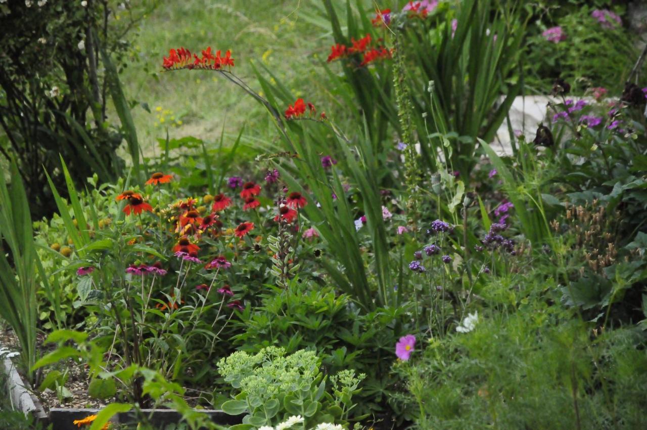 Il Sanco Bed and Breakfast Selva di Progno Buitenkant foto